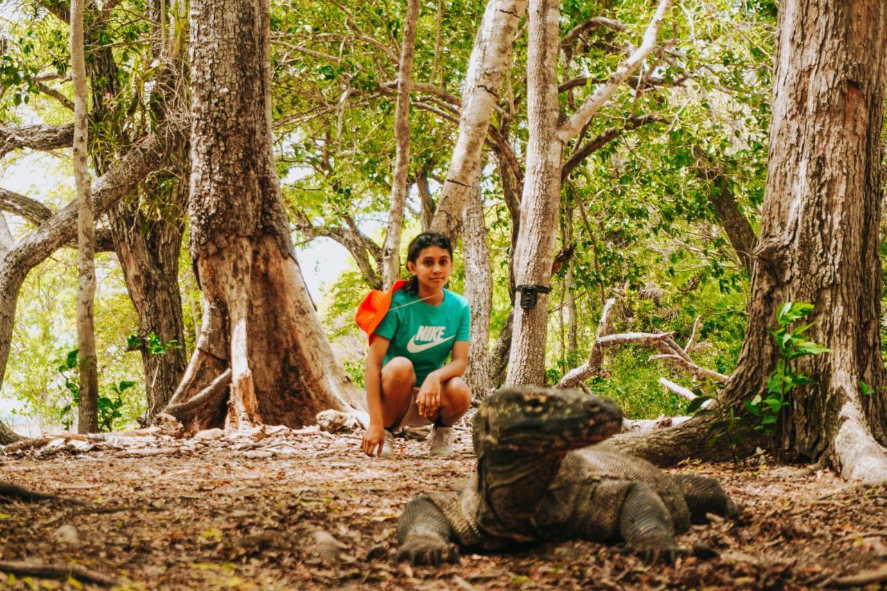 Komodoku One Love Homestay And Tour Labuan Bajo Exteriér fotografie