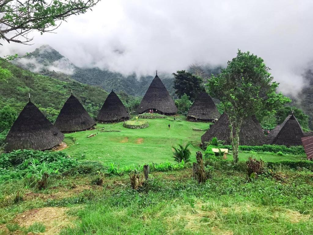 Komodoku One Love Homestay And Tour Labuan Bajo Exteriér fotografie