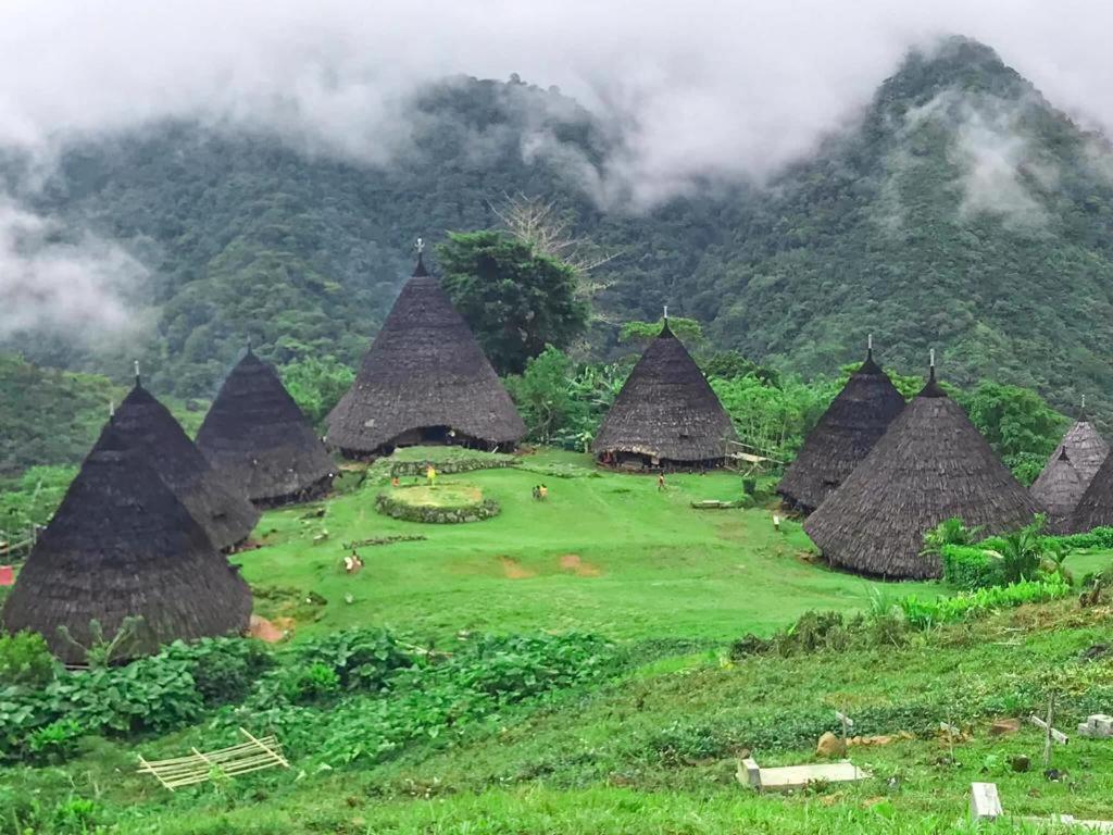 Komodoku One Love Homestay And Tour Labuan Bajo Exteriér fotografie